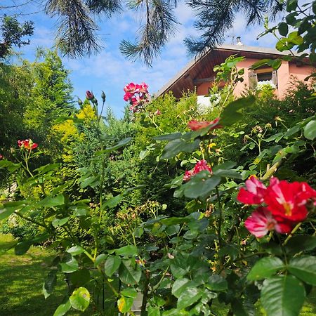 Park Apartment Краків Екстер'єр фото