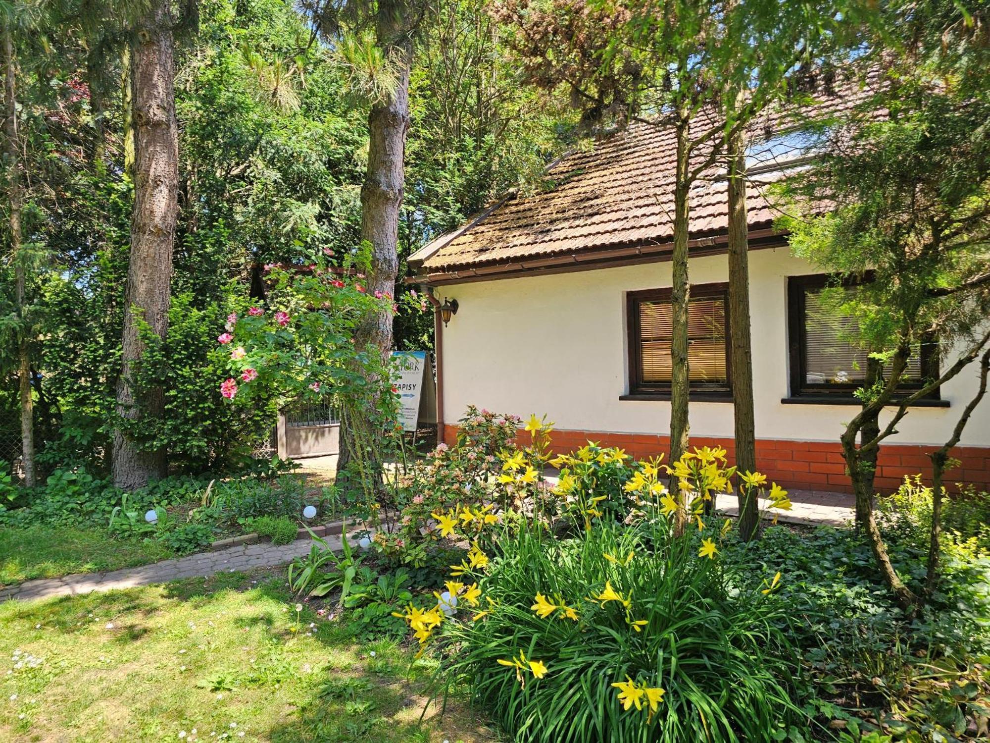 Park Apartment Краків Екстер'єр фото