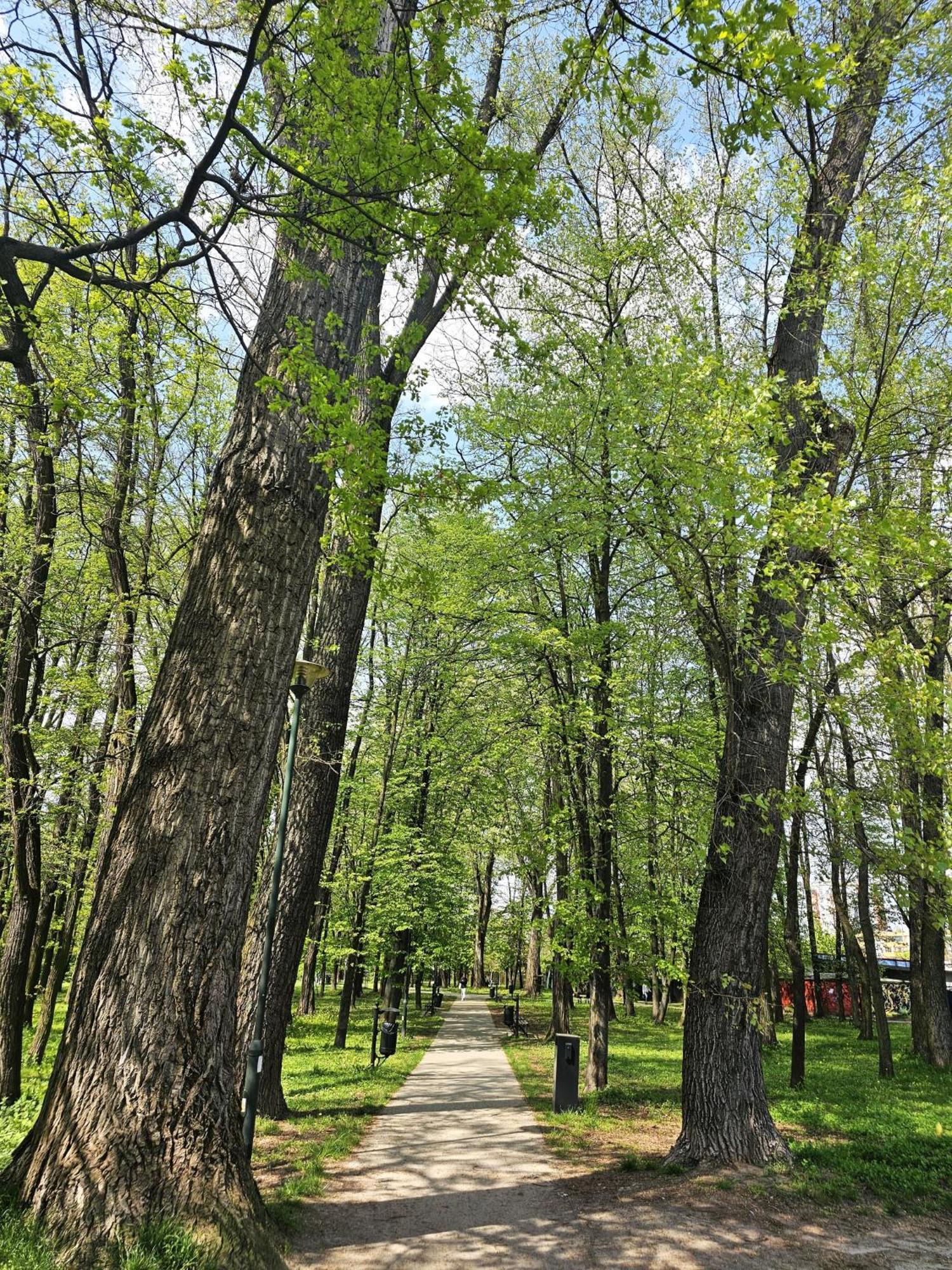 Park Apartment Краків Екстер'єр фото